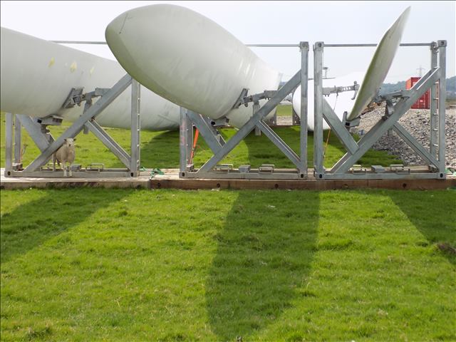 Wind turbine blades on metal frames supported by timber mats in a grassy field with a sheep looking on.